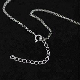 Fashion-cute-design-925-silver-necklace (3)